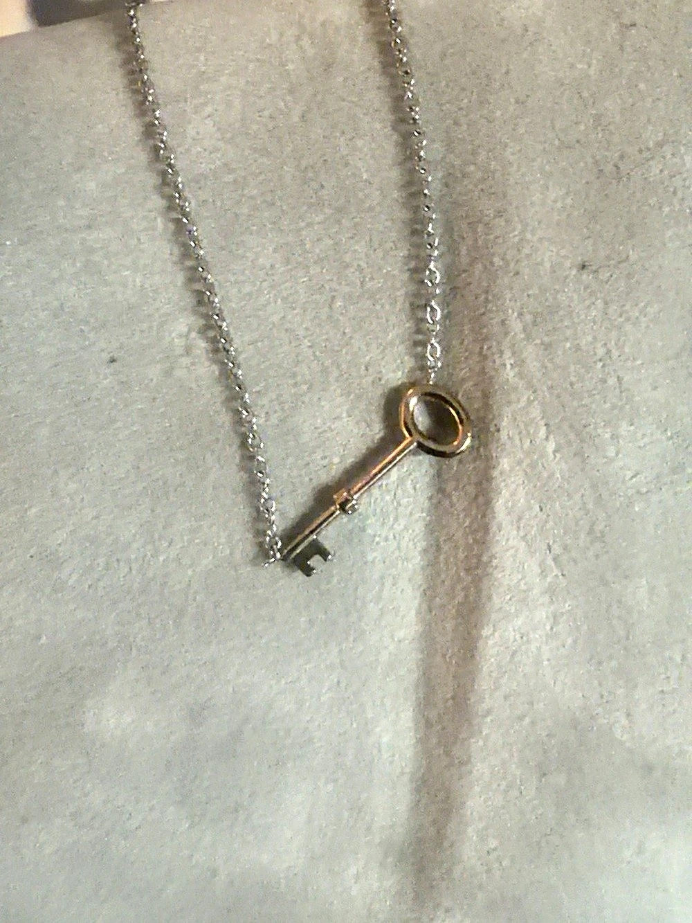 Fossil Key Pendant Necklace in Silver & Gold